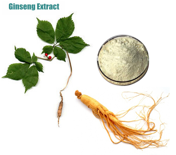 PANAX GINSENG EXTRACT