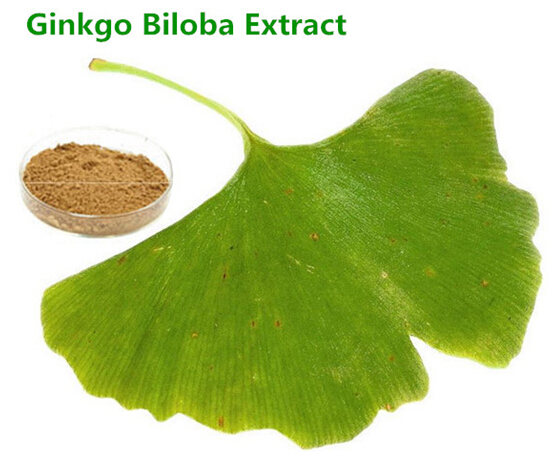 GINKGO BILOBA EXTRACT (US