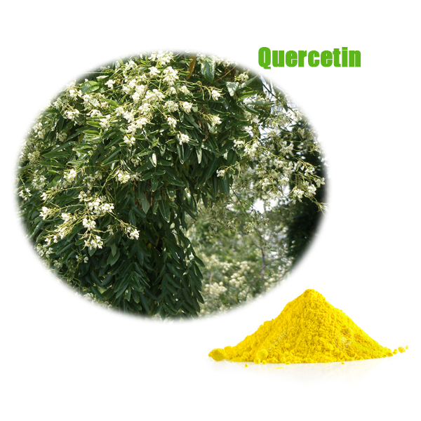  QUERCETIN 