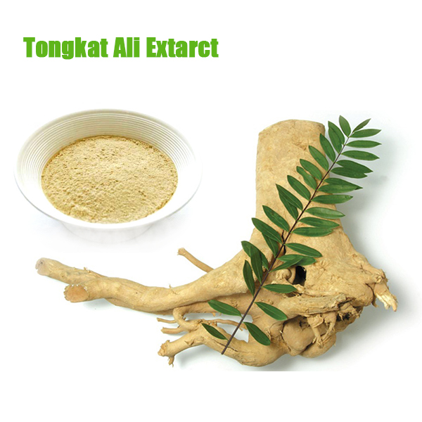 TONGKAT ALI EXTRACT