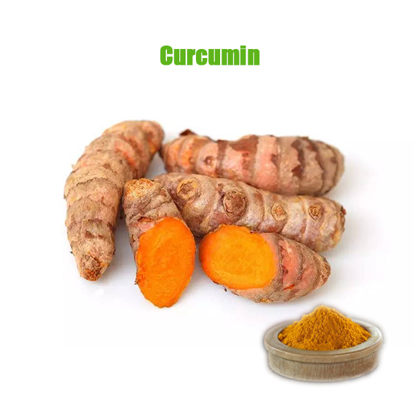  TUMERIC ROOT EXTRACT 