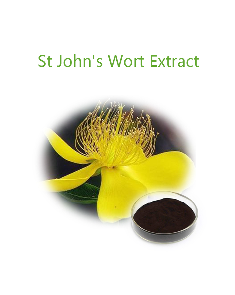 ST JOHN'S WORT EXTRACT