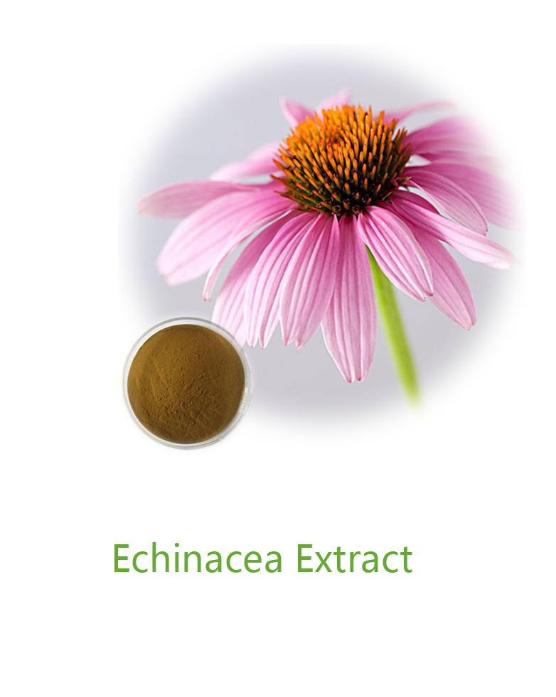 ECHINACEA EXTRACT