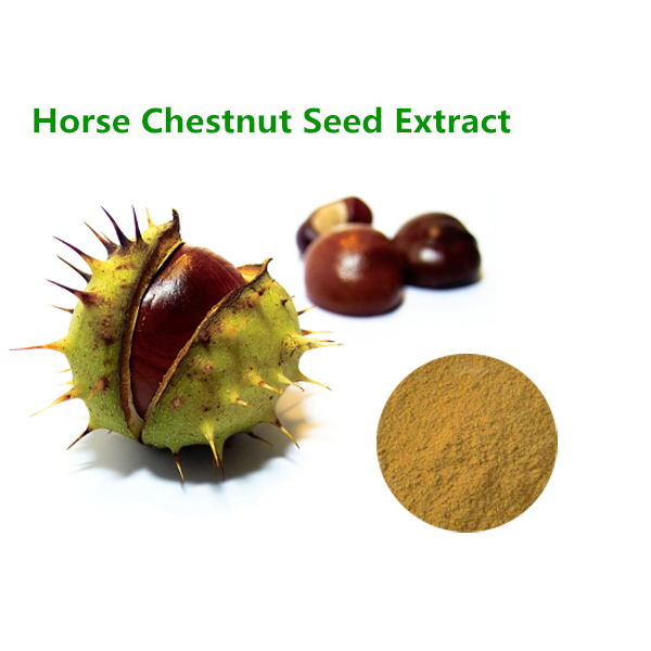 HORSE CHESTNUT EXTRACT