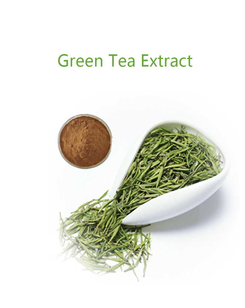 GREEN TEA EXTRACT