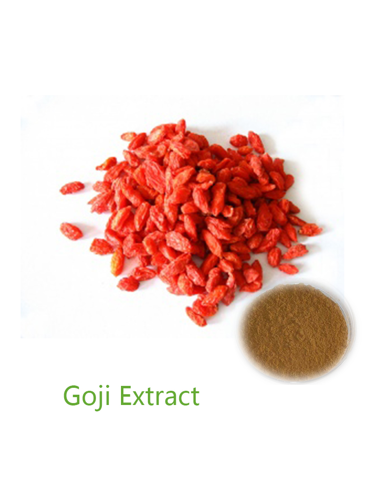 GOJI BERRY EXTRACT